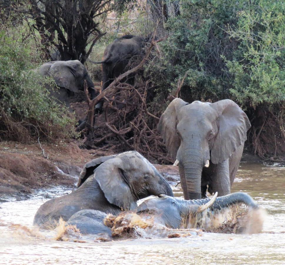 Sable Creek Safari Lodge Тзанеен Екстериор снимка