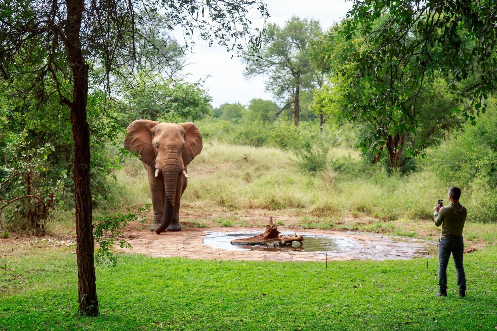 Sable Creek Safari Lodge Тзанеен Екстериор снимка