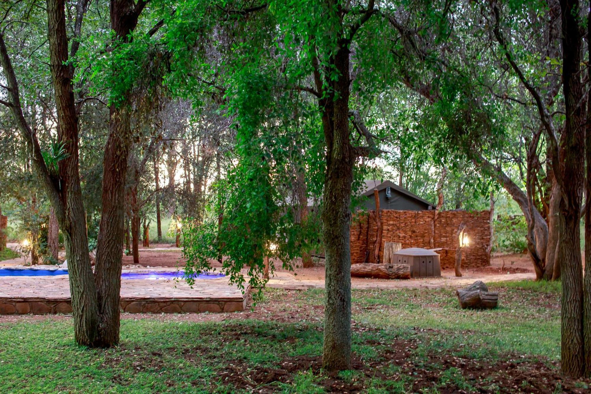 Sable Creek Safari Lodge Тзанеен Екстериор снимка